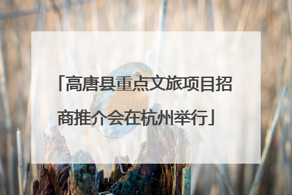 高唐县重点文旅项目招商推介会在杭州举行