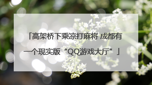 高架桥下乘凉打麻将 成都有一个现实版“QQ游戏大厅”