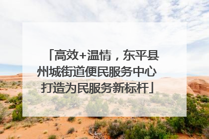 高效+温情，东平县州城街道便民服务中心打造为民服务新标杆
