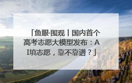 鱼眼·围观丨国内首个高考志愿大模型发布：AI填志愿，靠不靠谱？