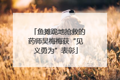 鱼摊跪地抢救的药师吴梅梅获“见义勇为”表彰