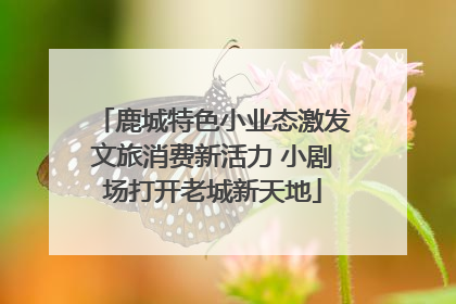 鹿城特色小业态激发文旅消费新活力 小剧场打开老城新天地