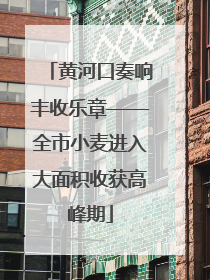 黄河口奏响丰收乐章——全市小麦进入大面积收获高峰期