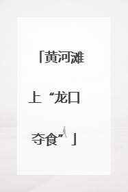 黄河滩上“龙口夺食”