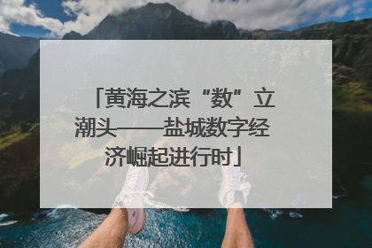 黄海之滨“数”立潮头——盐城数字经济崛起进行时