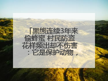 黑熊连续3年来偷蜂蜜 村民防盗花样频出却不伤害：它是保护动物，我有保险兜底