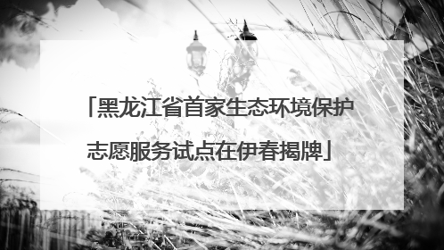 黑龙江省首家生态环境保护志愿服务试点在伊春揭牌
