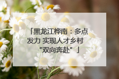 黑龙江桦南：多点发力 实现人才乡村“双向奔赴”