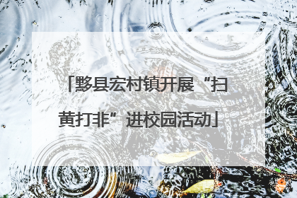 黟县宏村镇开展“扫黄打非”进校园活动