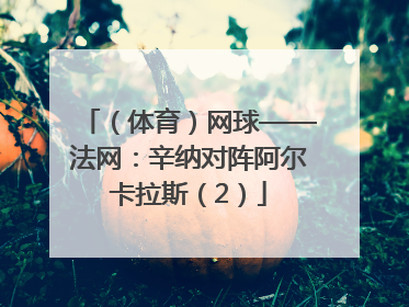 （体育）网球——法网：辛纳对阵阿尔卡拉斯（2）