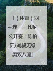 （体育）羽毛球——印尼公开赛：陈柏阳/刘毅无缘男双八强