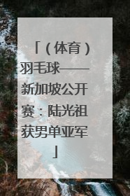 （体育）羽毛球——新加坡公开赛：陆光祖获男单亚军