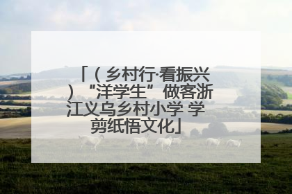 （乡村行·看振兴）“洋学生”做客浙江义乌乡村小学 学剪纸悟文化