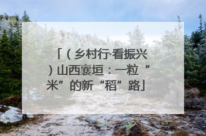 （乡村行·看振兴）山西襄垣：一粒“米”的新“稻”路