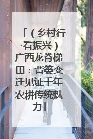 （乡村行·看振兴）广西龙脊梯田：背篓变迁见证千年农耕传统魅力