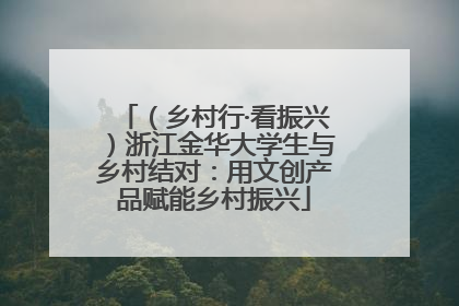 （乡村行·看振兴）浙江金华大学生与乡村结对：用文创产品赋能乡村振兴