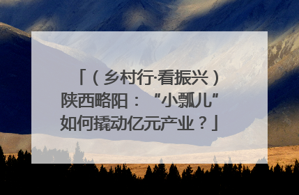 （乡村行·看振兴）陕西略阳：“小瓢儿”如何撬动亿元产业？