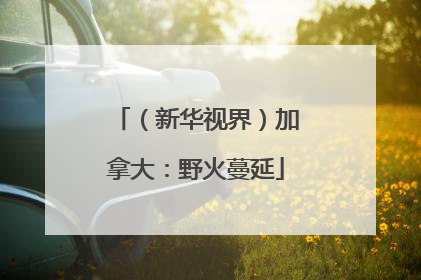 （新华视界）加拿大：野火蔓延
