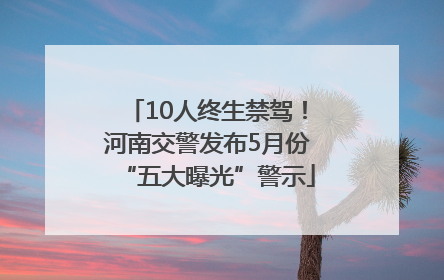 10人终生禁驾！河南交警发布5月份“五大曝光”警示