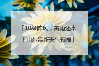 10级阵风，雷雨还来！山东最新天气预报