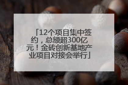12个项目集中签约，总额超300亿元！金砖创新基地产业项目对接会举行