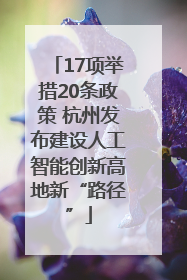 17项举措20条政策 杭州发布建设人工智能创新高地新“路径”