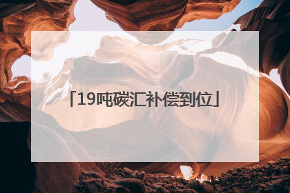 19吨碳汇补偿到位