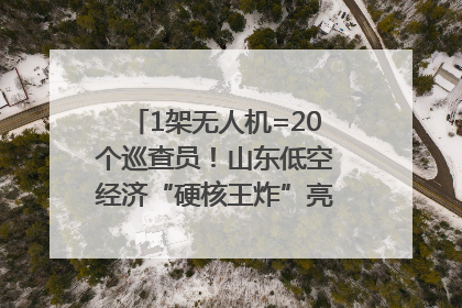 1架无人机=20个巡查员！山东低空经济“硬核王炸”亮相青岛，下一个万亿赛道藏在这里