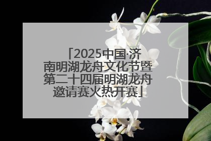 2025中国·济南明湖龙舟文化节暨第二十四届明湖龙舟邀请赛火热开赛