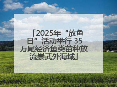 2025年“放鱼日”活动举行 35万尾经济鱼类苗种放流崇武外海域