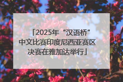 2025年“汉语桥”中文比赛印度尼西亚赛区决赛在雅加达举行