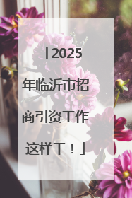 2025年临沂市招商引资工作这样干！