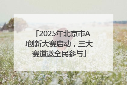 2025年北京市AI创新大赛启动，三大赛道邀全民参与