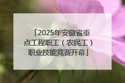 2025年安徽省重点工程职工（农民工）职业技能竞赛开幕