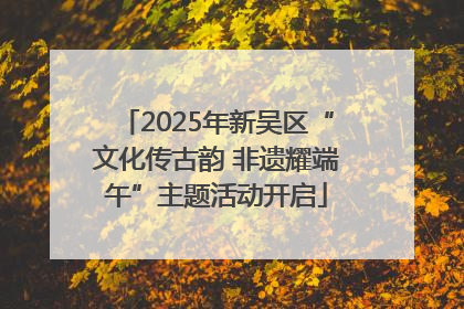 2025年新吴区“文化传古韵 非遗耀端午”主题活动开启