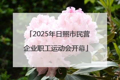 2025年日照市民营企业职工运动会开幕