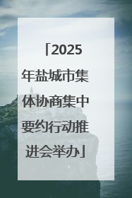 2025年盐城市集体协商集中要约行动推进会举办