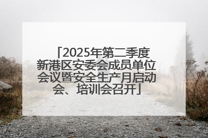 2025年第二季度新港区安委会成员单位会议暨安全生产月启动会、培训会召开