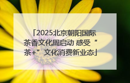 2025北京朝阳国际茶香文化周启动 感受“茶+”文化消费新业态