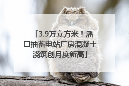 3.9万立方米！潘口抽蓄电站厂房混凝土浇筑创月度新高