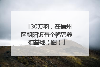 30万羽，在信州区朝阳镇有个鹌鹑养殖基地（图）