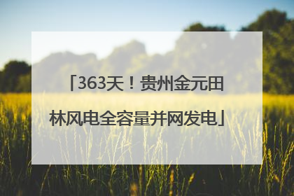 363天！贵州金元田林风电全容量并网发电