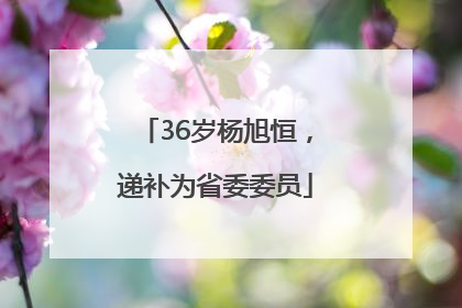 36岁杨旭恒，递补为省委委员
