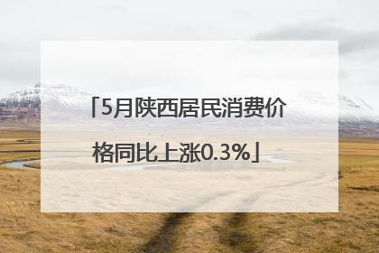 5月陕西居民消费价格同比上涨0.3%