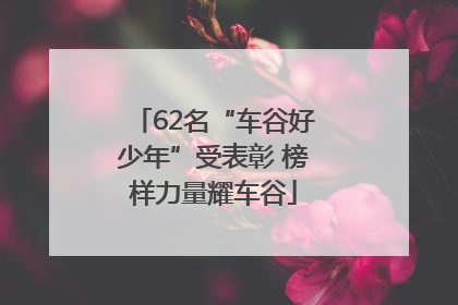 62名“车谷好少年”受表彰 榜样力量耀车谷