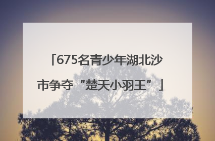 675名青少年湖北沙市争夺“楚天小羽王”