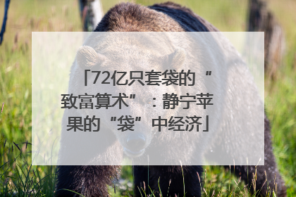 72亿只套袋的“致富算术”：静宁苹果的“袋”中经济