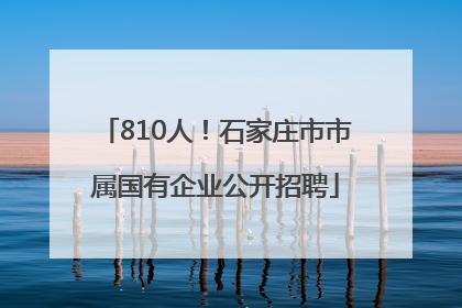 810人！石家庄市市属国有企业公开招聘