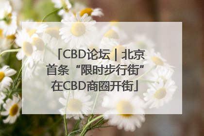 CBD论坛｜北京首条“限时步行街”在CBD商圈开街