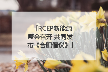 RCEP新能源盛会召开 共同发布《合肥倡议》